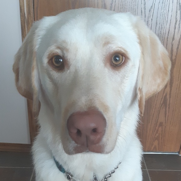 Meet your Posher, Melanie - Picture 1 of 1